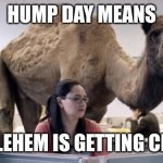 Happy hump day | HUMP DAY MEANS; SESHLEHEM IS GETTING CLOSER | image tagged in hump day camel,memes,sesh | made w/ Imgflip meme maker