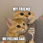 I have good friends | MY FRIEND; ME FEELING SAD | image tagged in cat hugging | made w/ Imgflip meme maker