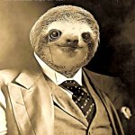 sloth announcement meme