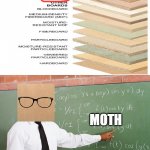 Ply-wood has replaced meme man | MOTH | image tagged in math teacher,ply-wood | made w/ Imgflip meme maker