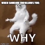 When someone unfollows you D: | WHEN SOMEONE UNFOLLOWS YOU: | image tagged in gifs,whyyy,luna_the_dragon,unfollow,sad times,what did i do wrong | made w/ Imgflip video-to-gif maker