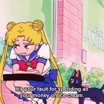 Sailor Moon It’s your fault for spending all your money on ice