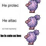 flinx terraria | he is cute as hec | image tagged in he protecc he attacc | made w/ Imgflip meme maker