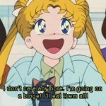 Sailor Moon binge
