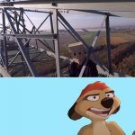 Timon meme