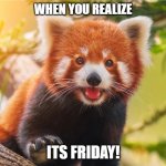 happy red panda | WHEN YOU REALIZE; ITS FRIDAY! | image tagged in happy red panda | made w/ Imgflip meme maker