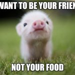 Why I'm a vegetarian | I WANT TO BE YOUR FRIEND; NOT YOUR FOOD | image tagged in piglet,memes,vegetarian | made w/ Imgflip meme maker