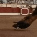 Matador Bull Flip Red Cape Anger GIF Template