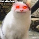 Go follow RetroTheFloof | Someone: says furrise suck. RetroTheFloof: | image tagged in beluga cat sus | made w/ Imgflip meme maker