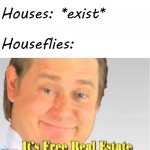 ok then | Houses: *exist* Houseflies: | image tagged in it's free real estate,fly | made w/ Imgflip meme maker