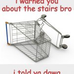 Shopping Cart On Side | i warned you about the stairs bro; i told ya dawg | image tagged in shopping cart on side | made w/ Imgflip meme maker