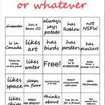 maxie bingo
