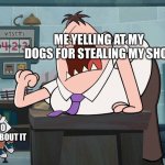 This is my own template, I hope you like it | ME YELLING AT MY DOGS FOR STEALING MY SHOE; MY DOGS WHO ALREADY FROGOT ABOUT IT | image tagged in captain underpants 2,dog | made w/ Imgflip meme maker