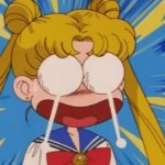Sailor moon OMG GIF Template