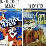 Instagram reels vs. tik tok. | TIK TOK; INSTAGRAM REELS | image tagged in off brand frosted flakes,tiktok,instagram | made w/ Imgflip meme maker