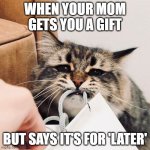 Isn't it true, though? | WHEN YOUR MOM GETS YOU A GIFT; BUT SAYS IT'S FOR 'LATER' | image tagged in cat tugging at bag | made w/ Imgflip meme maker