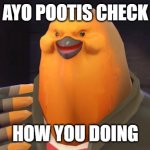 pootis | AYO POOTIS CHECK; HOW YOU DOING | image tagged in pootis | made w/ Imgflip meme maker