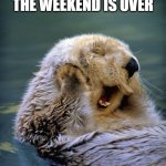 Tired otter | WHEN MONDAY COMES AND YOU REALISE THE WEEKEND IS OVER; CAN WE PRETEND IT'S FRIDAY? I WASN'T READY! | image tagged in satisfied sea otter,otter,tired,lazy,monday,i hate mondays | made w/ Imgflip meme maker
