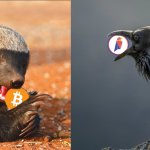 bitcoin ravencoin animal spirits