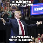 Organs and Cathedrals | SHE ASKED ME WHY MY ORGAN IS SO SMALL; I DIDN’T KNOW I WAS PLAYING IN A CATHEDRAL | image tagged in trump arms wide open | made w/ Imgflip meme maker