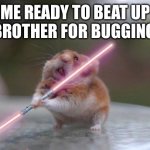 Me as hamster | ME READY TO BEAT UP MY BROTHER FOR BUGGING ME | image tagged in star wars hamster | made w/ Imgflip meme maker