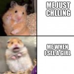 scared hamster | ME JUST CHLLING; ME WHEN I SEE A GIRL | image tagged in scared hamster | made w/ Imgflip meme maker