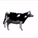 polish dancing cow template
