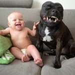 Baby and Dog Laughing