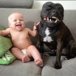 Baby and Dog Laughing | MY BEST FRIEND AND I; WATCHING FUNNY CAT VIDEOS | image tagged in baby and dog laughing,dogs,cats,babies,funny,memes | made w/ Imgflip meme maker