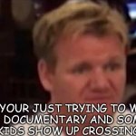 Disgusted Gordon Ramsay | WHEN YOUR JUST TRYING TO WATCH A NORMAL DOCUMENTARY AND SOME NAKED AFRICAN KIDS SHOW UP CROSSING A RIVER | image tagged in disgusted gordon ramsay | made w/ Imgflip meme maker