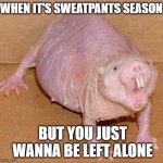 naked mole rat | WHEN IT'S SWEATPANTS SEASON; BUT YOU JUST WANNA BE LEFT ALONE | image tagged in naked mole rat | made w/ Imgflip meme maker