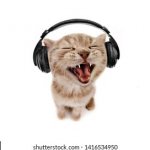 cat headphone template