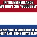 Netherlands Flag | IN THE NETHERLANDS WE DON'T SAY "GOODBYE!"; WE SAY "HOU JE KOULO BEK, IK GA LOESOE!!!!" AND I THINK THAT'S BEAUTIFUL. | image tagged in netherlands flag,netherlands,memes,funny | made w/ Imgflip meme maker