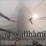 Wallhammer temp (thanks Bluehonu) meme
