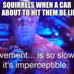 yeah | SQUIRRELS WHEN A CAR IS ABOUT TO HIT THEM BE LIKE | image tagged in drax | made w/ Imgflip meme maker