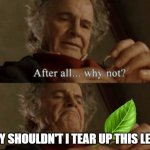 Relatable childhood meme lol | WHY SHOULDN'T I TEAR UP THIS LEAF? | image tagged in after all why not,lol,childhood,relatable,memes,oh wow are you actually reading these tags | made w/ Imgflip meme maker