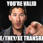 Markiplier pointing | YOU'RE VALID; SHE/THEY/XE TRANSBIAN | image tagged in markiplier pointing | made w/ Imgflip meme maker