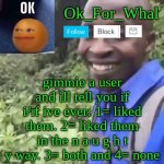 Ok_For_What Temp | gimmie a user and ill tell you if i/if ive ever: 1= liked them. 2= liked them in the n a u g h t y way. 3= both and 4= none | image tagged in ok_for_what temp | made w/ Imgflip meme maker
