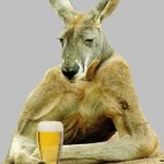 Cool Kangaroo | WHEN THEY MADE YOU WORK; ON YOUR DAY OFF | image tagged in cool kangaroo | made w/ Imgflip meme maker