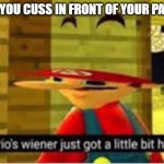 Mario's Wiener | WHEN YOU CUSS IN FRONT OF YOUR PARENTS | image tagged in mario's wiener | made w/ Imgflip meme maker