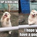 :) | WAIT STOP SCROLLING; I hope you have a good day | image tagged in wait stop scrolling | made w/ Imgflip meme maker