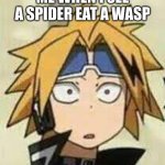 surprised denki | ME WHEN I SEE A SPIDER EAT A WASP | image tagged in surprised denki | made w/ Imgflip meme maker