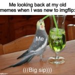 They’re deleted so you can’t see them. HAHA | Me looking back at my old memes when I was new to imgflip: | image tagged in unseen juice | made w/ Imgflip meme maker