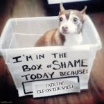 Shame Dog | I ATE THE ELF ON THE SHELF | image tagged in shame dog | made w/ Imgflip meme maker