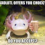 Axolotl | CUTE AXOLOTL OFFERS YOU CHOCCY MILK; DO YOU ACCEPT? | image tagged in axolotl,have some choccy milk,choccy milk,choccy,milk,axolotl drake | made w/ Imgflip meme maker