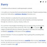 Furry Definition