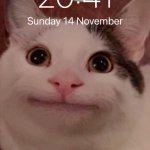 Polite Cat Phone | HAVING A MEME AS YOUR LOCK SCREEN. | image tagged in polite cat phone | made w/ Imgflip meme maker