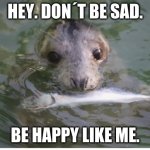 Seal | HEY. DON´T BE SAD. BE HAPPY LIKE ME. | image tagged in seal | made w/ Imgflip meme maker