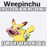 This could fit with a lot of things | THIS IS A NEW MEME FORMAT; IT MIGHT NEVER HIT BIG | image tagged in weepinchu confused | made w/ Imgflip meme maker