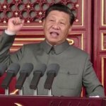 Xi Jinping absolute dictator meme